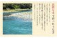 良質な水で育ったうなぎ