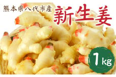 【先行予約】八代市東陽町産 新生姜1kg【2025年9月上旬より順次発送】