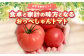食卓と家計の味方となるおっぺしゃんトマト！