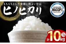 【先行予約】《令和7年産》 ヒノヒカリ 5kg×2袋 合計10kg  熊本県 八代市産 米 お米 精米 白米 国産 【2025年11月下旬より順次発送】