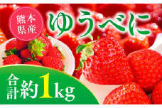 【先行予約】ゆうべにいちご　約1kg フルーツ 果物 くだもの 旬 ジャム 季節の果物 【2026年2月上旬より順次発送】