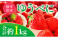 ゆうべにいちご　約1kg