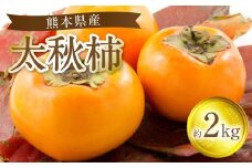 【先行予約】 太秋柿 約2kg 果物 くだもの フルーツ 旬 【2025年10月上旬より順次発送】