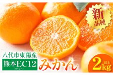 【先行予約】 八代市 東陽産 EC12みかん 2kg以上入り(8玉～20玉)  柑橘 ミカン くだもの 果物 フルーツ デザート 【2025年11月下旬より順次発送】