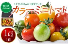 【先行予約】 カラーミニトマト1kg トマト とまと ミニトマト プチトマト 野菜 やさい 旬の野菜 新鮮な野菜 地元産野菜 旬のやさい 新鮮なやさい ご当地 国産 特産品 お取り寄せ ギフト プレゼント 家庭用 食卓 【2025年11月中旬より順次発送】