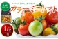 ミネラルを含んだ土壌で育った 熊本県八代市産 カラーミニトマト1kg