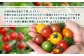 愛情込めて育てたトマトが、皆様の健康と笑顔になれる作物となりますように！