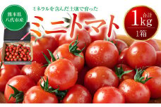 【先行予約】 ミニトマト1kg トマト とまと ミニトマト プチトマト 野菜 やさい 旬の野菜 新鮮な野菜 地元産野菜 旬のやさい 新鮮なやさい ご当地 国産 特産品 お取り寄せ ギフト プレゼント 家庭用 食卓 【2025年11月中旬より順次発送】