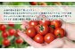 愛情込めて育てたトマトが、皆様の健康と笑顔になれる作物となりますように！