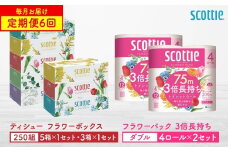 【定期便6回】【毎月お届け】【スコッティ】ティシュー フラワーボックス 250組（5箱パック×1セット・3箱パック×1セット）＋フラワーパック 3倍長持ち（4ロール(ダブル)パック×2セット）ティッシュ トイレットペーパー 日用品 ストック
