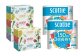 【定期便6回】【毎月お届け】【スコッティ】ティシュー フラワーボックス＋フラワーパック 3倍長持ち（シングル）