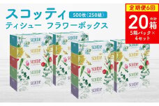 【定期便6回】【毎月お届け】【スコッティ】ティシュー フラワーボックス 250組 5箱パック×4セット 合計20箱 ティッシュ 日用品 生活必需品 消耗品 紙 まとめ買い 備蓄 防災備蓄  ストック デザインボックス