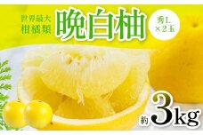 【先行予約】 晩白柚（秀L×2玉）約3kg 柑橘 果物 フルーツ 熊本県産 ばんぺいゆ フルーツ 柑橘 特産品【2025年12月上旬より順次発送】