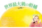 八代産晩白柚は、直径25cmにもなる世界最大級の柑橘で、芳醇な香りと爽やかな甘酸っぱさが魅力です。
