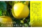 ふるさとの誇りを、ぜひご家庭でお楽しみください。