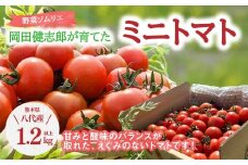 【先行予約】野菜ソムリエ岡田健志郎が育てた ミニトマト 1.2kg以上 トマト 野菜 熊本県産 新鮮 サラダ やさい とまと 八代市産 九州【2025年12月上旬より順次発送】