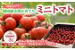 野菜ソムリエが美味しいトマトを厳選してお届けいたします。