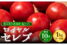【先行予約】 くまもと塩トマト「ロイヤルセレブ」 約1kg  トマト 野菜 熊本県産 新鮮 サラダ やさい とまと 八代市産 九州 【2026年1月上旬より順次発送】