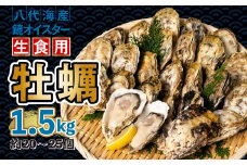 【先行予約】 牡蠣 鏡オイスター 生食用 1.5kg オイスター 生かき 新鮮 おつまみ BBQ 【2025年12月中旬より順次発送】