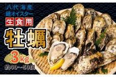 【先行予約】 牡蠣 鏡オイスター 生食用 3kg オイスター 生かき 新鮮 おつまみ BBQ 【2025年12月中旬より順次発送】