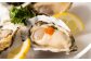 牡蠣 鏡オイスター 生食用 3kg (約40-50個)