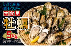 【先行予約】 牡蠣 鏡オイスター 生食用 5kg オイスター 生かき 新鮮 おつまみ BBQ 【2025年12月中旬より順次発送】