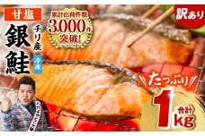 【訳あり】 銀鮭 切り身 たっぷり合計 1kg （鮭 塩鮭 サケ サーモン 甘塩 切身 切り身 大容量 人気の鮭 カマ 希少 魚 鮮魚 冷凍） 【順次発送】