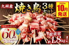 九州産 焼き鳥 セット 60本 やきとり BBQ 惣菜 小分け ボリューム バラエティー 国産 簡単 調理 おつまみ 詰め合わせ 冷凍 【2025年10月発送】
