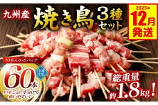 九州産 焼き鳥 セット 60本 やきとり BBQ 惣菜 小分け ボリューム バラエティー 国産 簡単 調理 おつまみ 詰め合わせ 冷凍 【2025年12月発送】