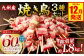 九州産 焼き鳥 セット 60本 焼き鳥 鶏肉 バーベキュー