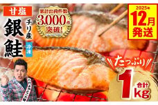 【訳あり】 銀鮭 切り身 たっぷり合計 1kg （鮭 塩鮭 サケ サーモン 甘塩 切身 切り身 大容量 人気の鮭 カマ 希少 魚 鮮魚 冷凍） 【2025年12月発送】