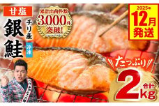 【人気急上昇中！】 【訳あり】 銀鮭 切り身 たっぷり合計 2kg （鮭 塩鮭 サケ サーモン 甘塩 切身 切り身 大容量 人気の鮭 カマ 希少 魚 鮮魚 冷凍） 【2025年12月発送】