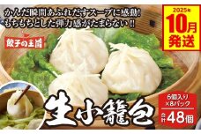 生小籠包 48個 餃子の王国 （小籠包 八代市産生姜使用） 小分け おかず 点心 中華 惣菜 小籠包 しょうが ショウガ お肉 豚肉 国産 モチモチ食感 簡単調理 小分けパック 熊本県 八代市 九州 冷凍【2025年10月発送】
