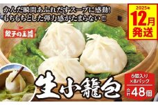 生小籠包 48個 餃子の王国 （小籠包 八代市産生姜使用） 小分け おかず 点心 中華 惣菜 小籠包 しょうが ショウガ お肉 豚肉 国産 モチモチ食感 簡単調理 小分けパック 熊本県 八代市 九州 冷凍【2025年12月発送】