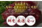 鮮度にこだわり、馬刺し赤身ユッケの味わい、歯ごたえ、旨味がご堪能できるセットです。