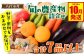 八代市産 旬の農産物詰合せ 福袋 7品以上 野菜 果物 東陽地区