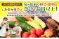 生姜の産地として知られる八代市東陽地域から時期に合わせて旬の新鮮な野菜・果実をおまかせで7品目以上お届けします！