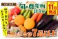 八代市産 旬の農産物詰合せ 福袋 7品以上 野菜 果物 東陽地区