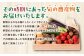 その時期にあった旬の農産物をお届けいたします。是非ご賞味ください！
