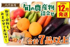 旬の農産物詰め合わせ 7品以上 おたのしみセット （ 野菜セット 野菜盛り合わせ 野菜ミックス 野菜ギフト 野菜 フルーツ 果物 くだもの 旬のお野菜 旬のくだもの 新鮮野菜 福袋 お楽しみ 道の駅 八代市産 東陽地区 ）【2025年12月発送】