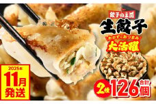 餃子の王国 人気生餃子 126個 2種類 黒豚生餃子30個/工場直売生餃子96個 餃子 セット 食べ比べ 詰合せ ギョウザ ぎょうざ 中華 ショウガ おかず 惣菜 国産 八代市東陽町の生姜を使用 熊本県 九州 冷凍【2025年11月発送】