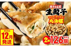 餃子の王国 人気生餃子 126個 2種類 黒豚生餃子30個/工場直売生餃子96個 餃子 セット 食べ比べ 詰合せ ギョウザ ぎょうざ 中華 ショウガ おかず 惣菜 国産 八代市東陽町の生姜を使用 熊本県 九州 冷凍【2025年12月発送】