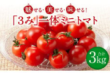 【先行予約】魅せる・美せる・味せる！「３み」一体ミニトマト！ 八代市産 トマト ミニトマト 約3kg 野菜 とまと 熊本県 八代市 【2025年10月下旬より順次発送】