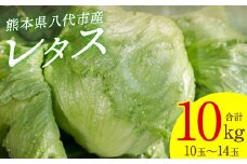 【先行予約】 レタス10kg (10玉～14玉) 野菜 やさい サラダ 付け合せ 新鮮 冷蔵 【2025年11月中旬より順次発送】