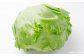 熊本県八代市産 レタス10kg（10玉～14玉）
