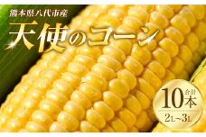 【先行予約】 熊本県八代市産「天使のコーン」2L～3Lサイズ 合計10本入り スイートコーン とうもろこし コーン料理 とうもろこし料理 【2026年5月中旬より順次発送】