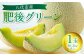 肥後グリーン 1玉 （約1.3kg以上）