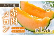 【先行予約】赤肉メロン（レノンまたはマリアージュメロン）約1.3kg 果物 くだもの 旬 ご褒美 季節の果物 赤肉 メロン 八代市産 【2026年6月中旬より順次発送】