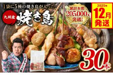 やきとり5種 30本セット お試しサイズ！ 焼き鳥 焼鳥 国産 鶏 鶏肉 とり肉 串 九州産 冷凍 小分け ねぎま むね とろ もも 砂肝 つくね BBQ パーティー おつまみ セット バラエティーパック 【2025年12月発送】