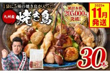 やきとり5種 30本セット お試しサイズ！ 焼き鳥 焼鳥 国産 鶏 鶏肉 とり肉 串 九州産 冷凍 小分け ねぎま むね とろ もも 砂肝 つくね BBQ パーティー おつまみ セット バラエティーパック 【2025年11月発送】